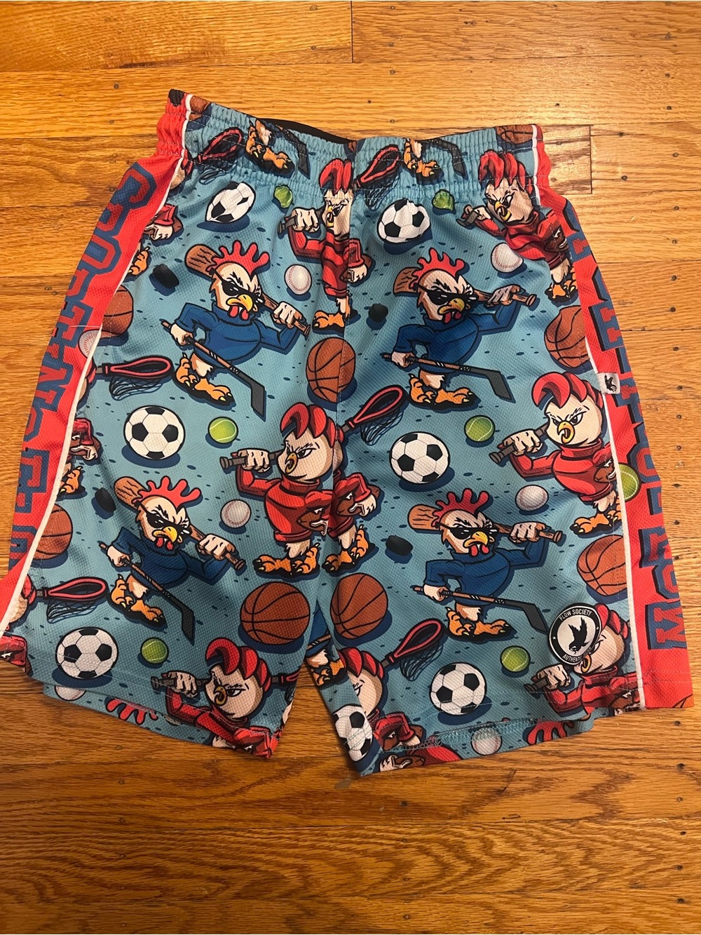Flow Society Boyโs shorts size YL